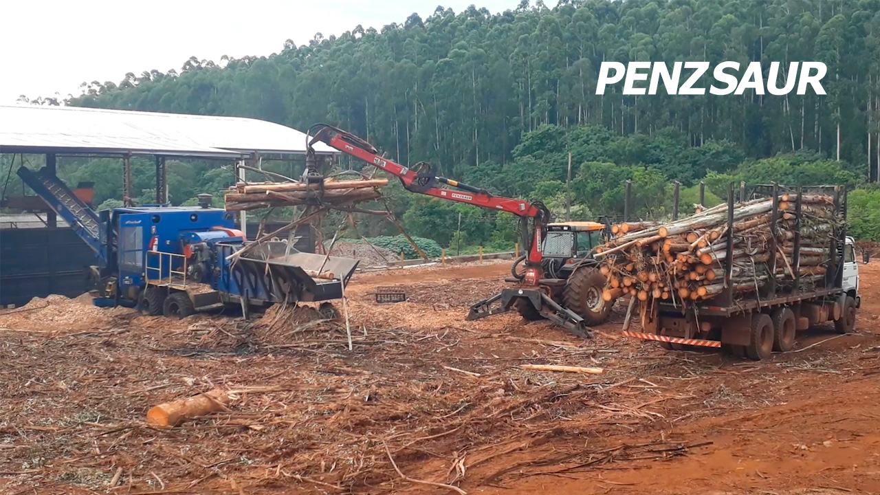 Grua Alimentando Picador de Madeira | PENZSAUR