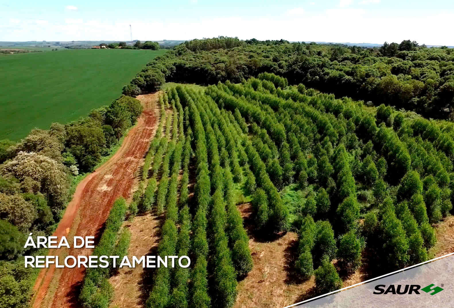 Galeria de fotos e vídeos