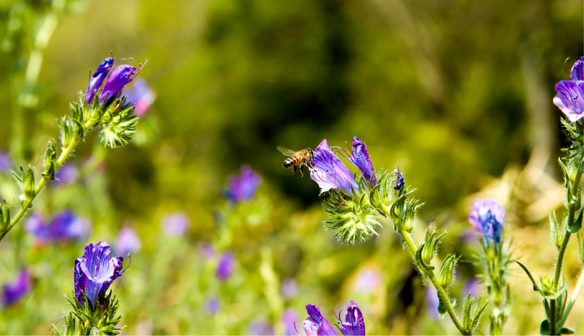Movimentar riquezas e gerar emprego e renda de forma responsável